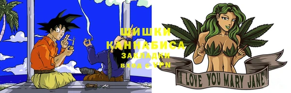шишки Верея