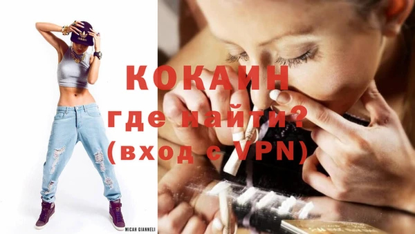 шишки Верея