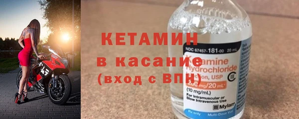 шишки Верея