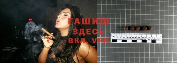шишки Верея