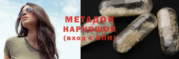 шишки Верея
