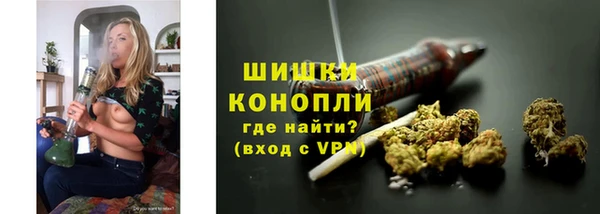 шишки Верея