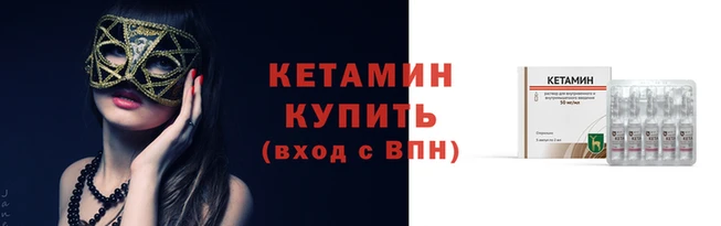 шишки Верея