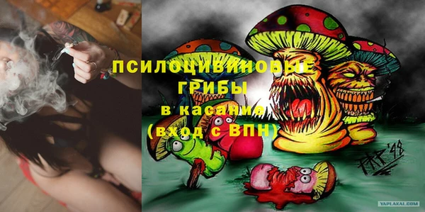 шишки Верея