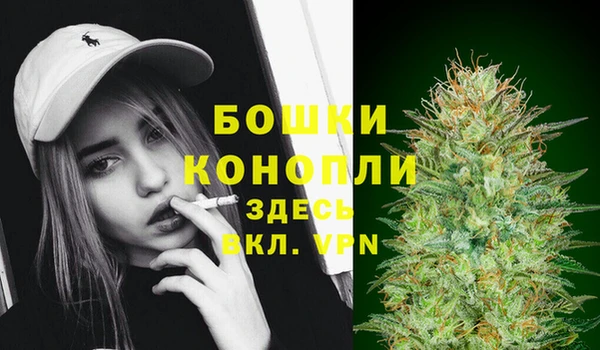 шишки Верея