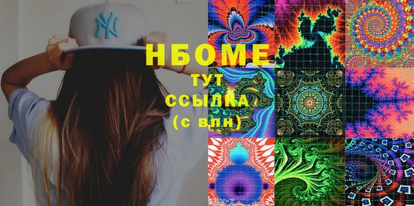 шишки Верея
