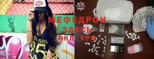 шишки Верея
