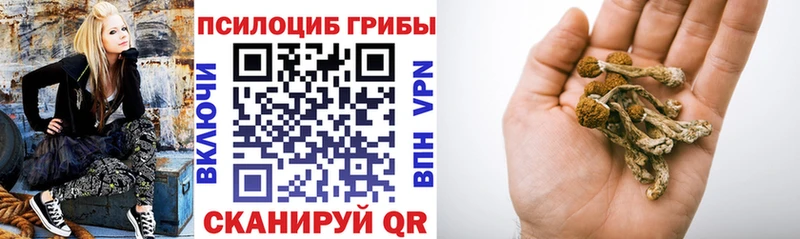купить   МЕГА зеркало  Псилоцибиновые грибы Psilocybine cubensis  Петушки 